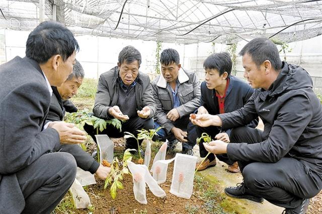 PG电子·游戏官方网站